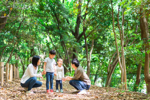 公園で遊ぶ家族